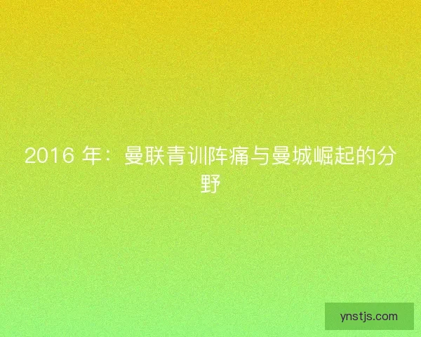 2016 年：曼联青训阵痛与曼城崛起的分野