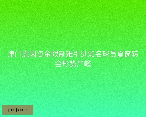 津门虎因资金限制难引进知名球员夏窗转会形势严峻 津门虎因资金限制难引进知名球员夏窗转会形势严峻